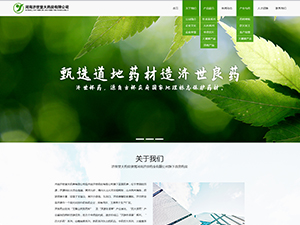 河南濟(jì)世堂大藥房有限公司